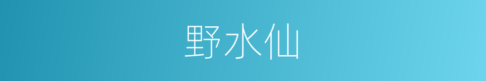 野水仙的同义词