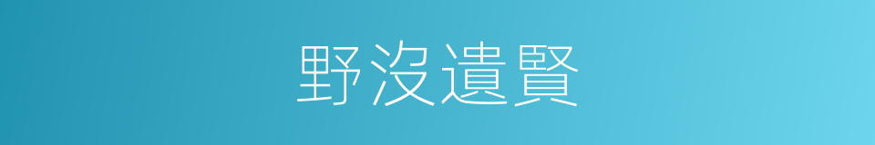 野沒遺賢的意思
