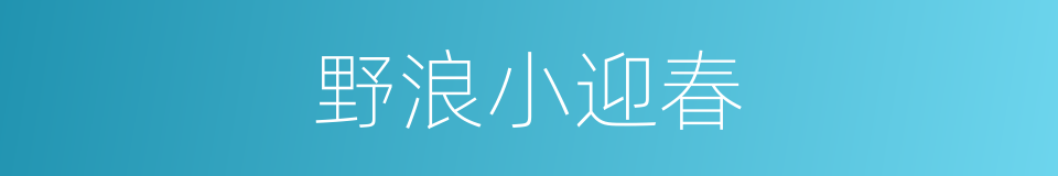 野浪小迎春的同义词