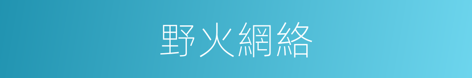 野火網絡的同義詞