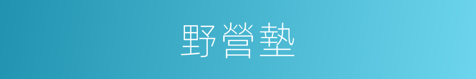 野營墊的同義詞