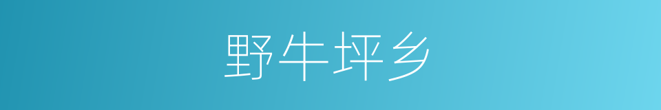 野牛坪乡的同义词
