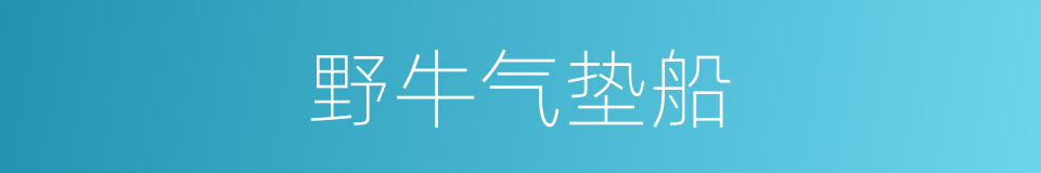 野牛气垫船的同义词