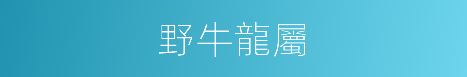 野牛龍屬的意思