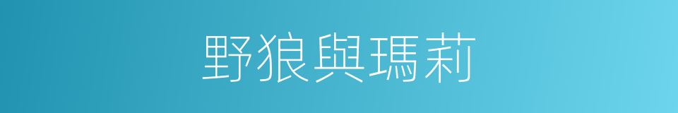 野狼與瑪莉的同義詞
