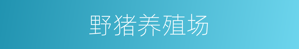 野猪养殖场的同义词