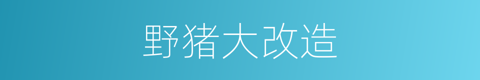 野猪大改造的同义词