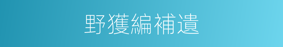野獲編補遺的同義詞