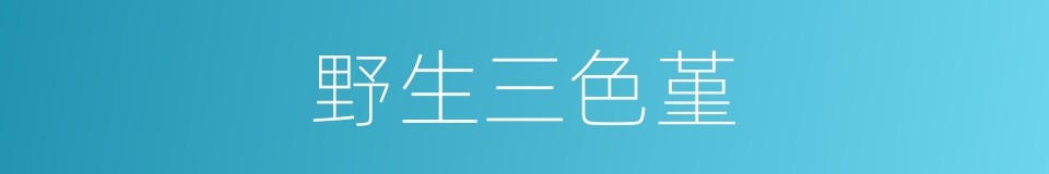 野生三色堇的同义词