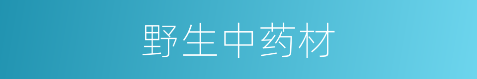野生中药材的同义词