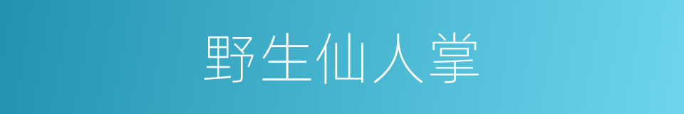 野生仙人掌的同义词