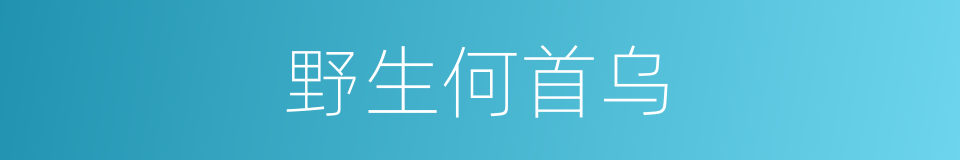 野生何首乌的同义词