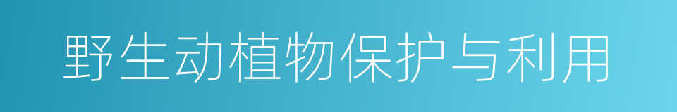 野生动植物保护与利用的同义词