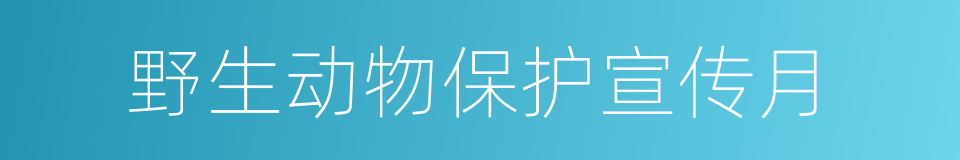 野生动物保护宣传月的同义词