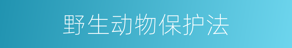 野生动物保护法的同义词