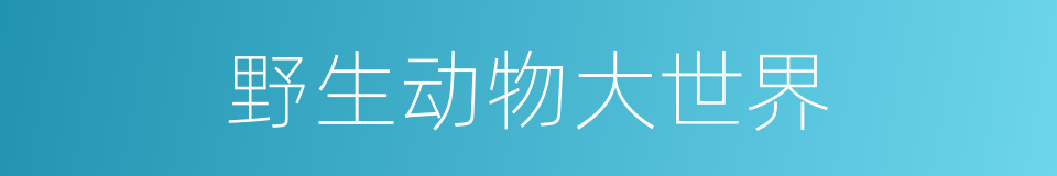 野生动物大世界的同义词