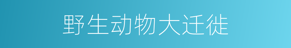 野生动物大迁徙的意思