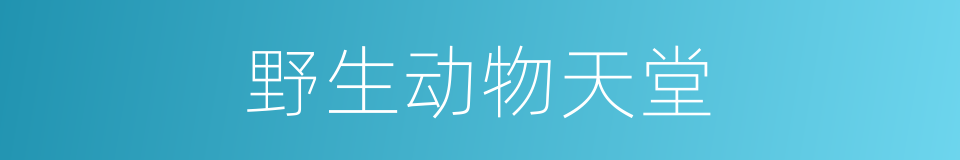野生动物天堂的同义词