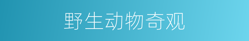 野生动物奇观的同义词