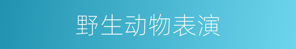 野生动物表演的同义词