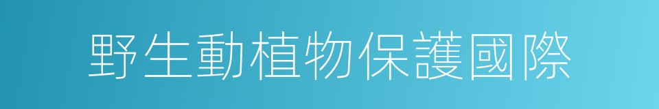 野生動植物保護國際的同義詞