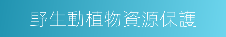 野生動植物資源保護的同義詞