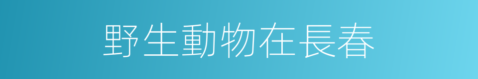 野生動物在長春的意思