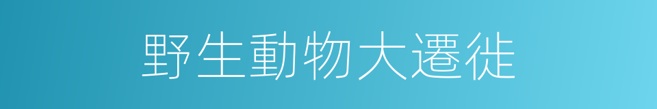 野生動物大遷徙的意思