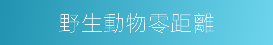 野生動物零距離的同義詞