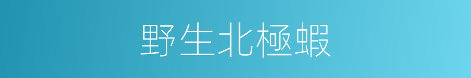 野生北極蝦的同義詞