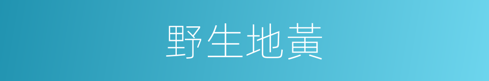野生地黃的同義詞