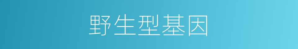 野生型基因的同义词