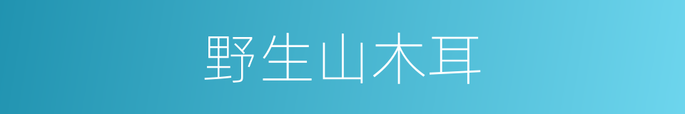 野生山木耳的同义词