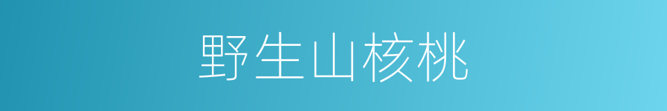 野生山核桃的同义词