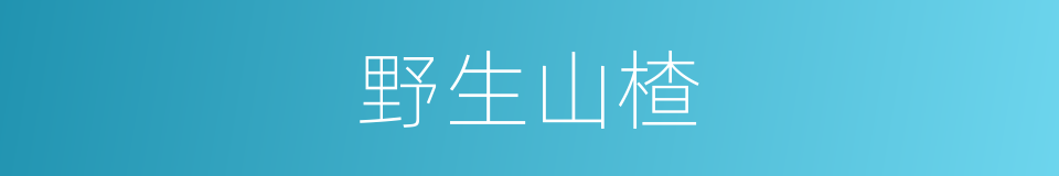 野生山楂的同义词