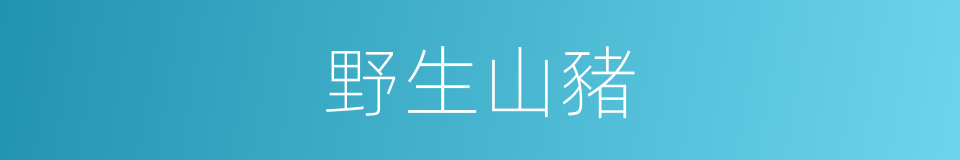 野生山豬的同義詞