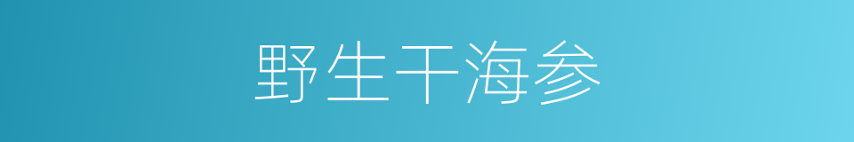 野生干海参的同义词