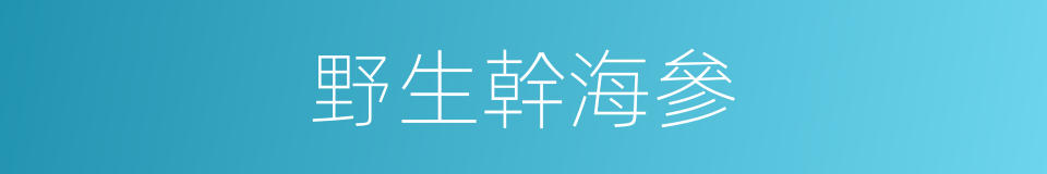 野生幹海參的同義詞