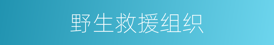 野生救援组织的同义词