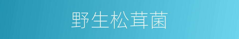 野生松茸菌的同义词