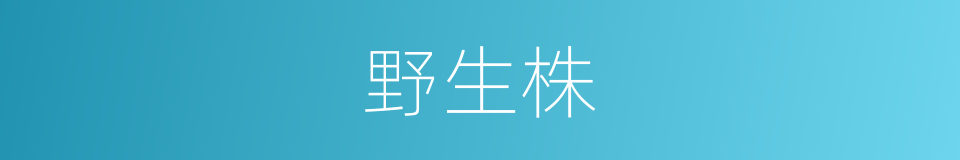 野生株的同义词