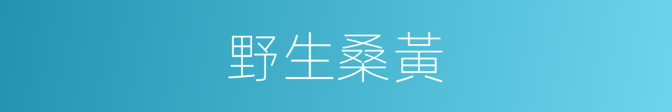 野生桑黃的同義詞