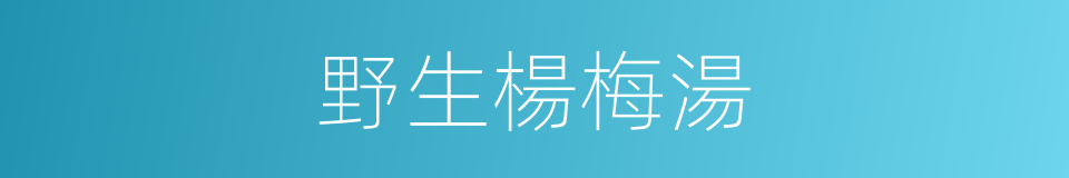 野生楊梅湯的同義詞