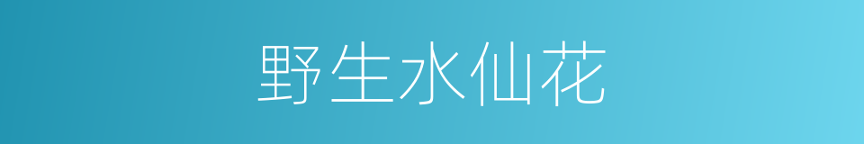 野生水仙花的同义词