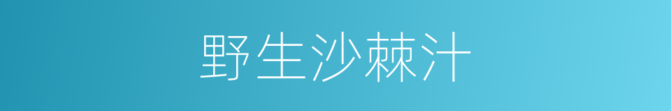 野生沙棘汁的同义词