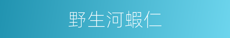 野生河蝦仁的同義詞