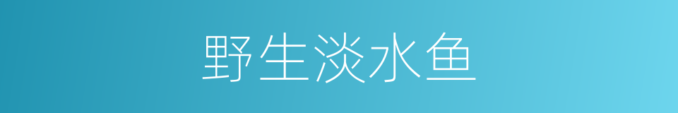 野生淡水鱼的同义词