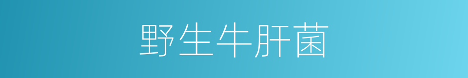 野生牛肝菌的同义词