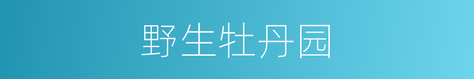 野生牡丹园的同义词