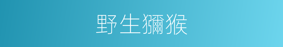 野生獼猴的同義詞